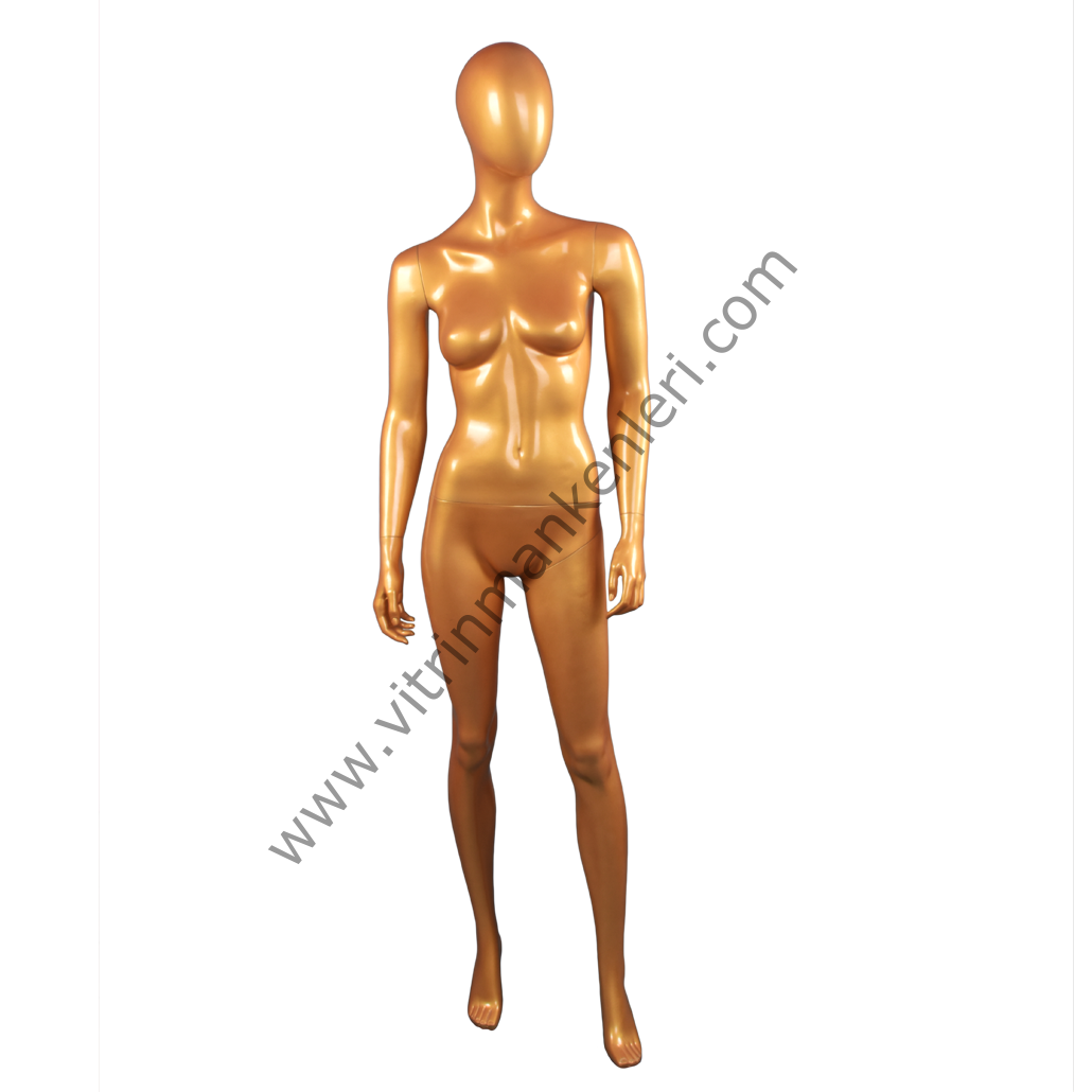 Bayan Polyester Vitrin Mankeni