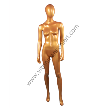 Bayan Polyester Vitrin Mankeni