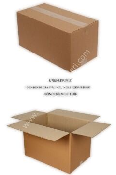 MD Vİtrin Dekorasyon 48 Beden Erkek Büst TERZİ MANKENİ VİTRİN MANKENİ