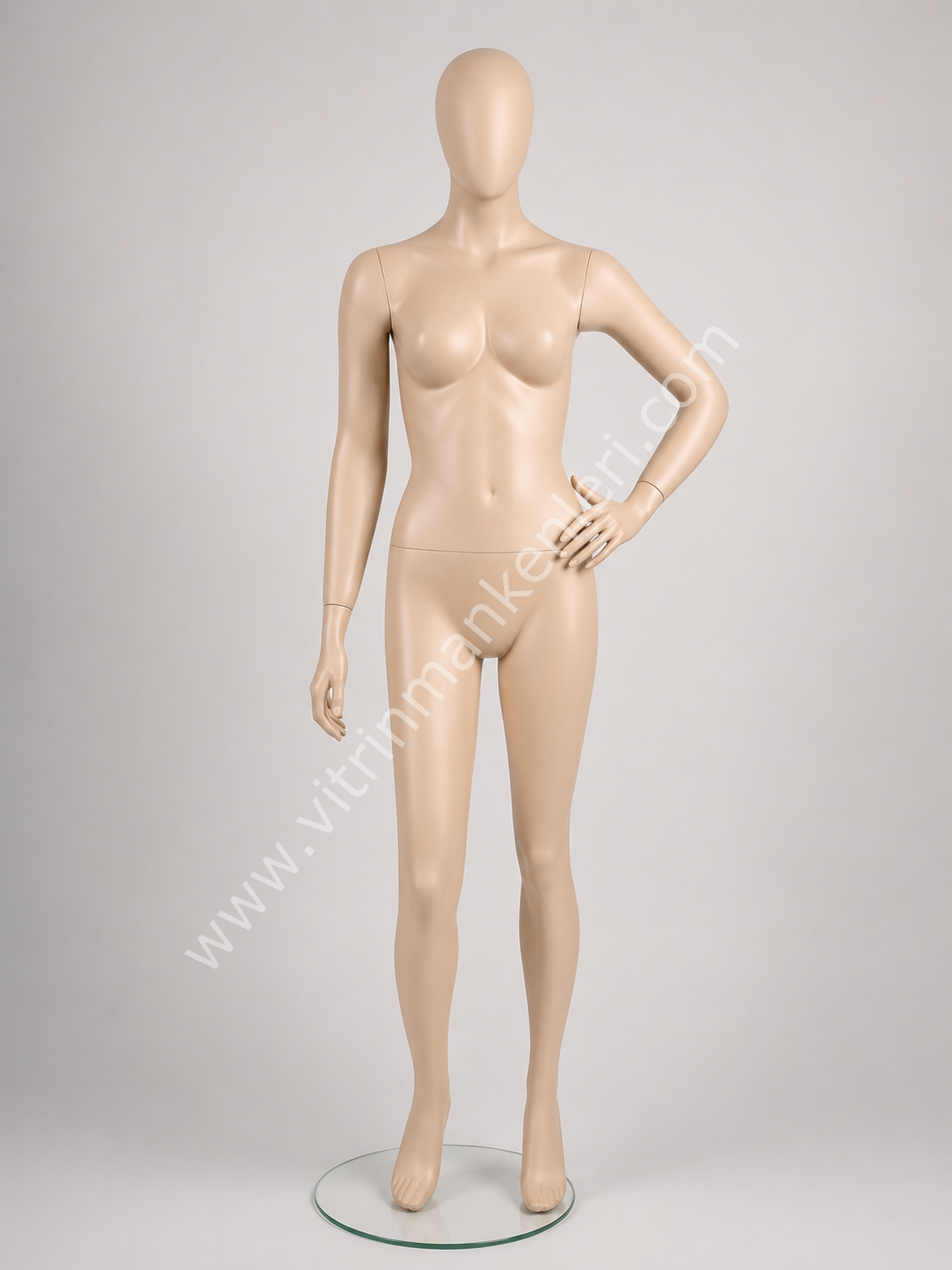 Polyester Vitrin  Bayan Boy Mankeni