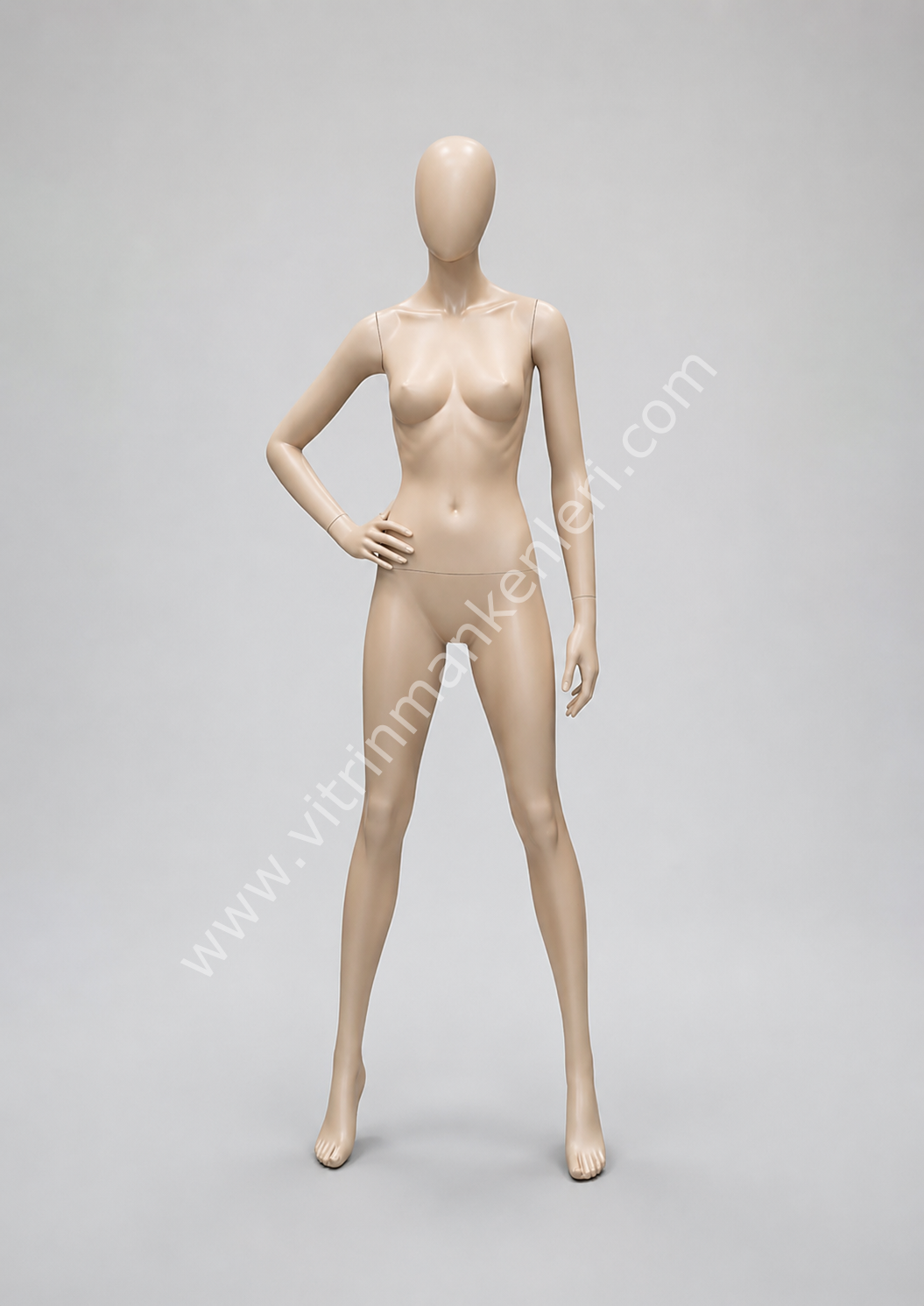 Polyester Vitrin Bayan Boy Mankeni