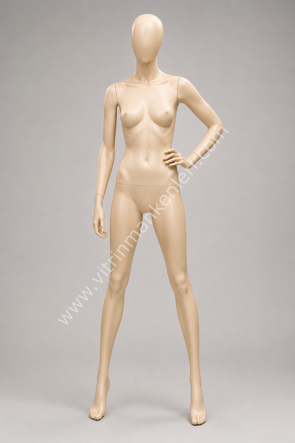 Polyester Vitrin Bayan Boy Mankeni