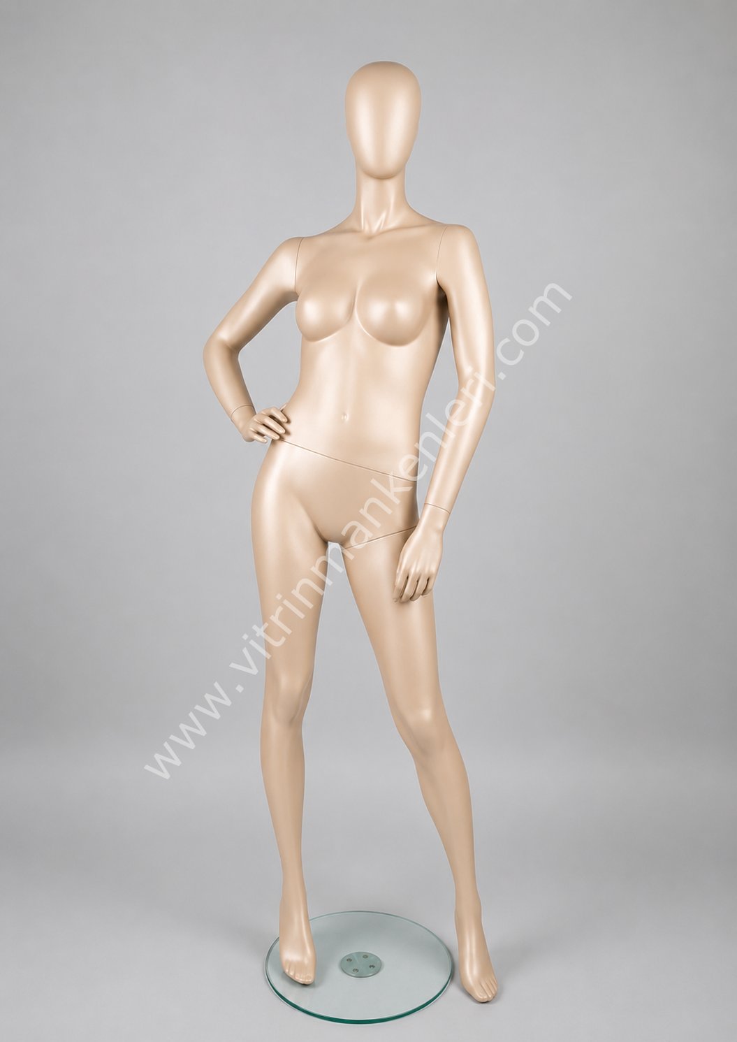 Polyester Vitrin  Bayan Boy Mankeni