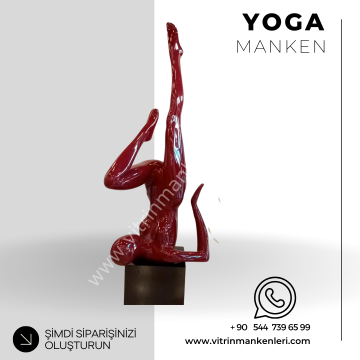 Sporcu Vitrin Mankeni