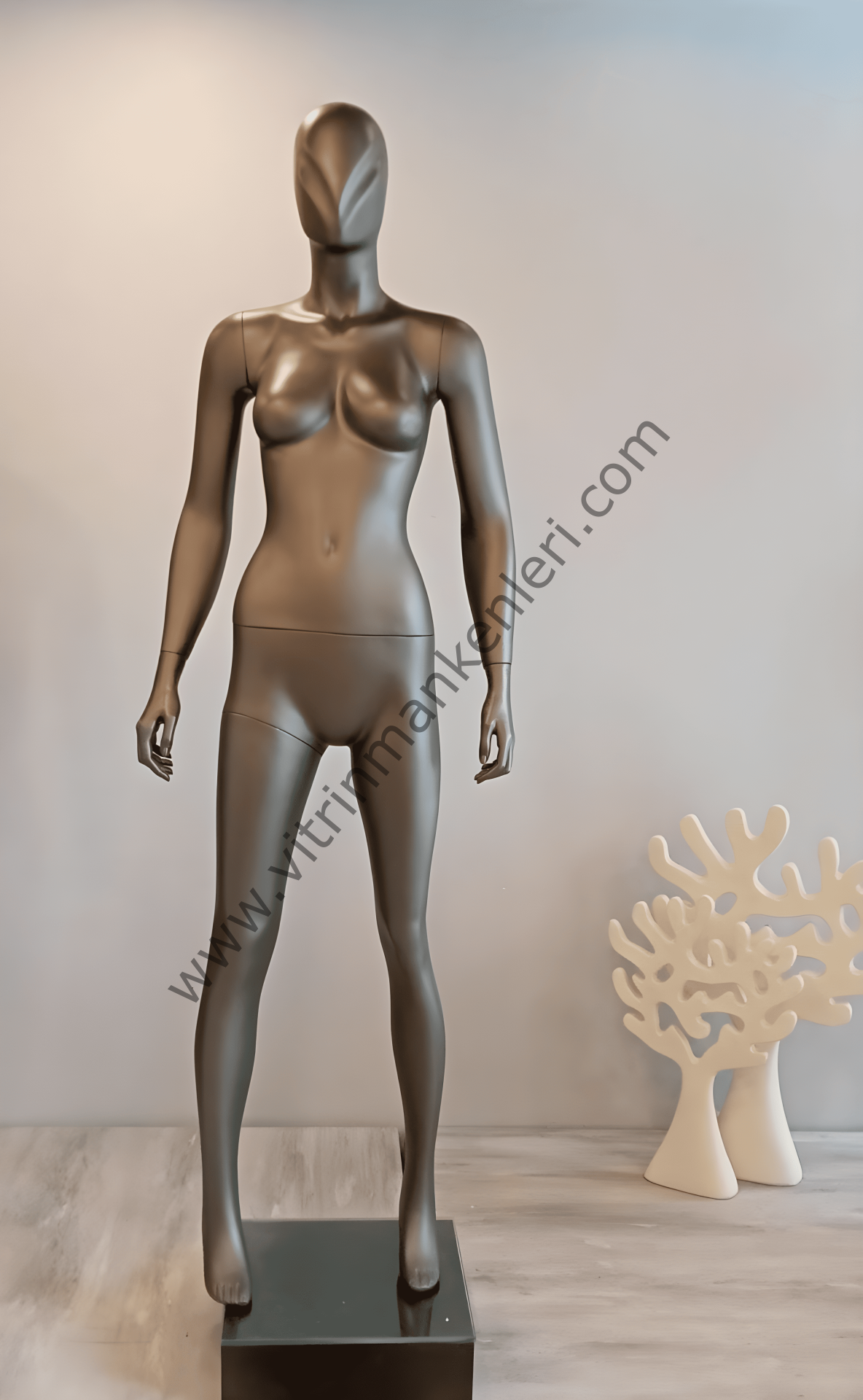 Bayan Polyester Vitrin Mankeni