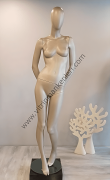 Bayan Polyester Vitrin Mankeni