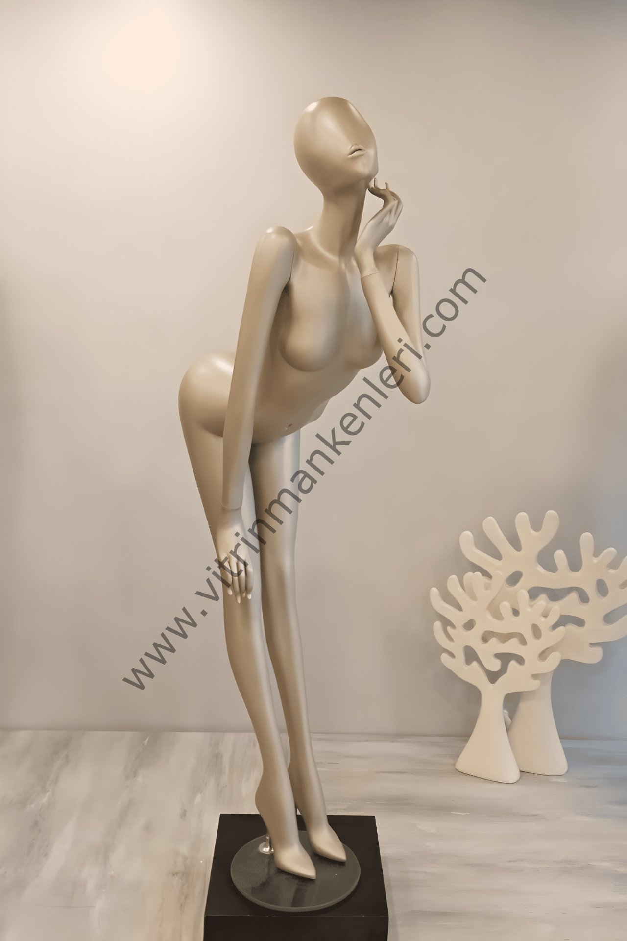 Bayan Polyester Vitrin Mankeni