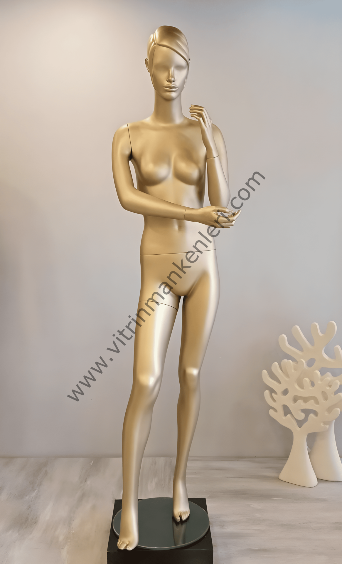 Bayan Polyester Vitrin Mankeni