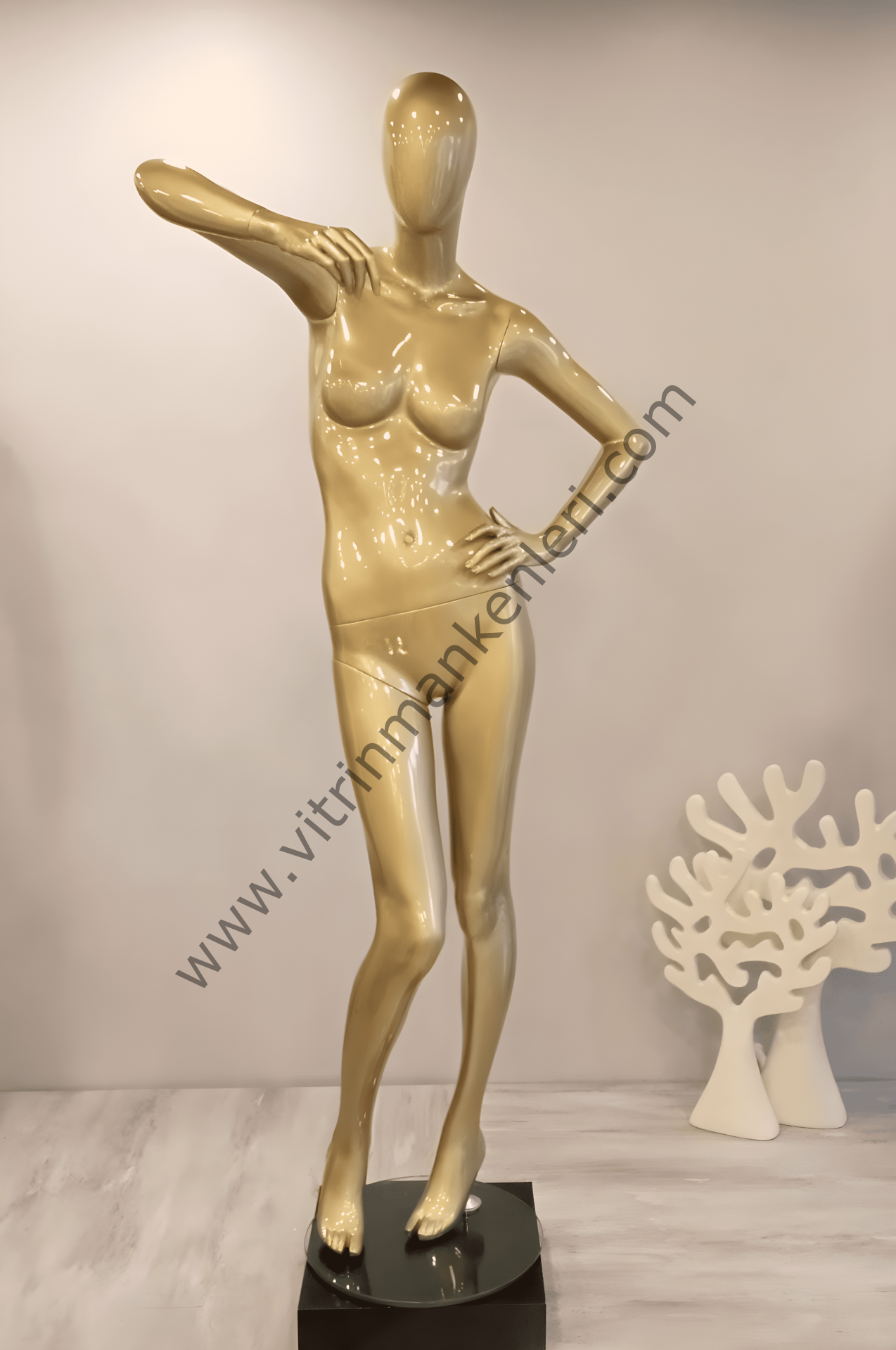 Bayan Polyester Vitrin Mankeni