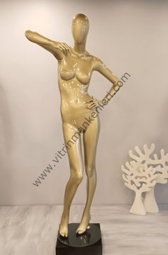 Bayan Polyester Vitrin Mankeni