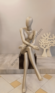 Bayan Polyester Vitrin Mankeni