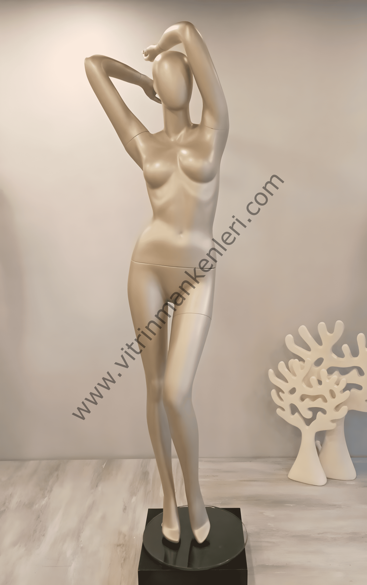 Bayan Polyester Vitrin Mankeni