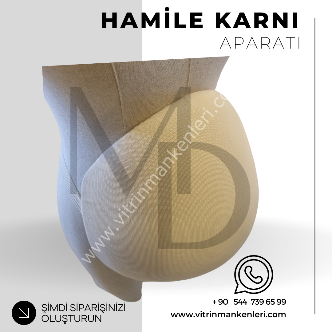 Hamile Karnı