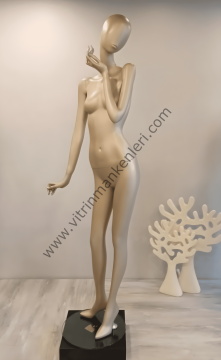 Bayan Polyester Vitrin Mankeni