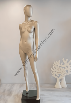 Bayan Polyester Vitrin Mankeni