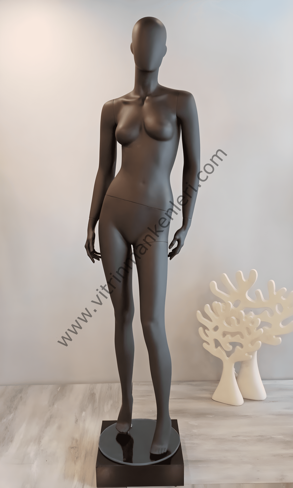 Bayan Polyester Vitrin Mankeni