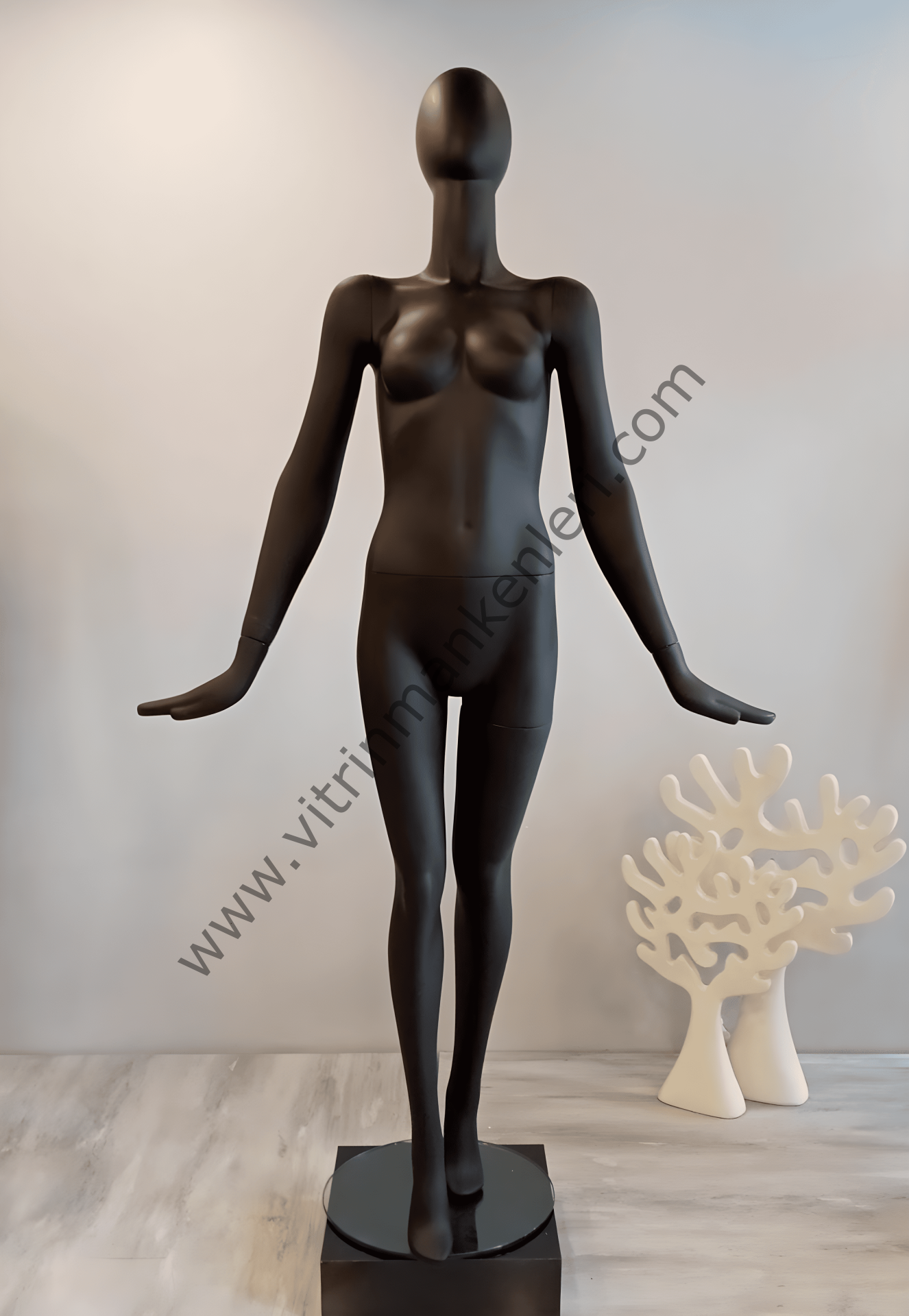 Bayan Polyester Vitrin Mankeni