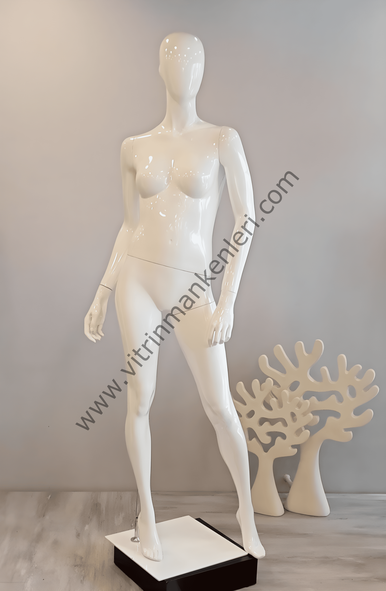 Bayan Polyester Vitrin Mankeni