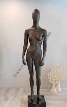 Bayan Polyester Vitrin Mankeni