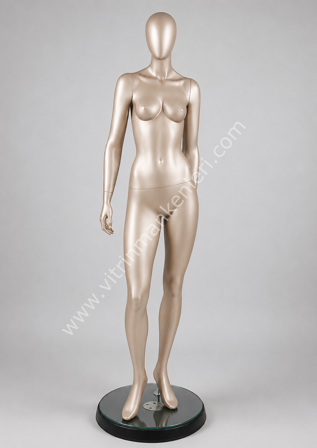 Polyester Vitrin  Bayan Boy Mankeni