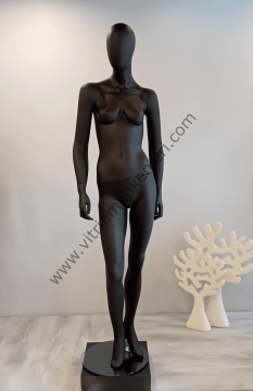 Bayan Polyester Vitrin Mankeni