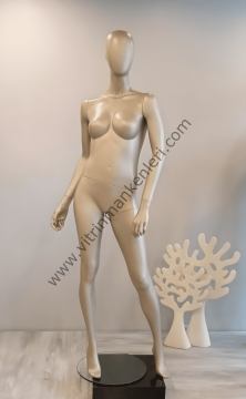 Bayan Polyester Vitrin Mankeni