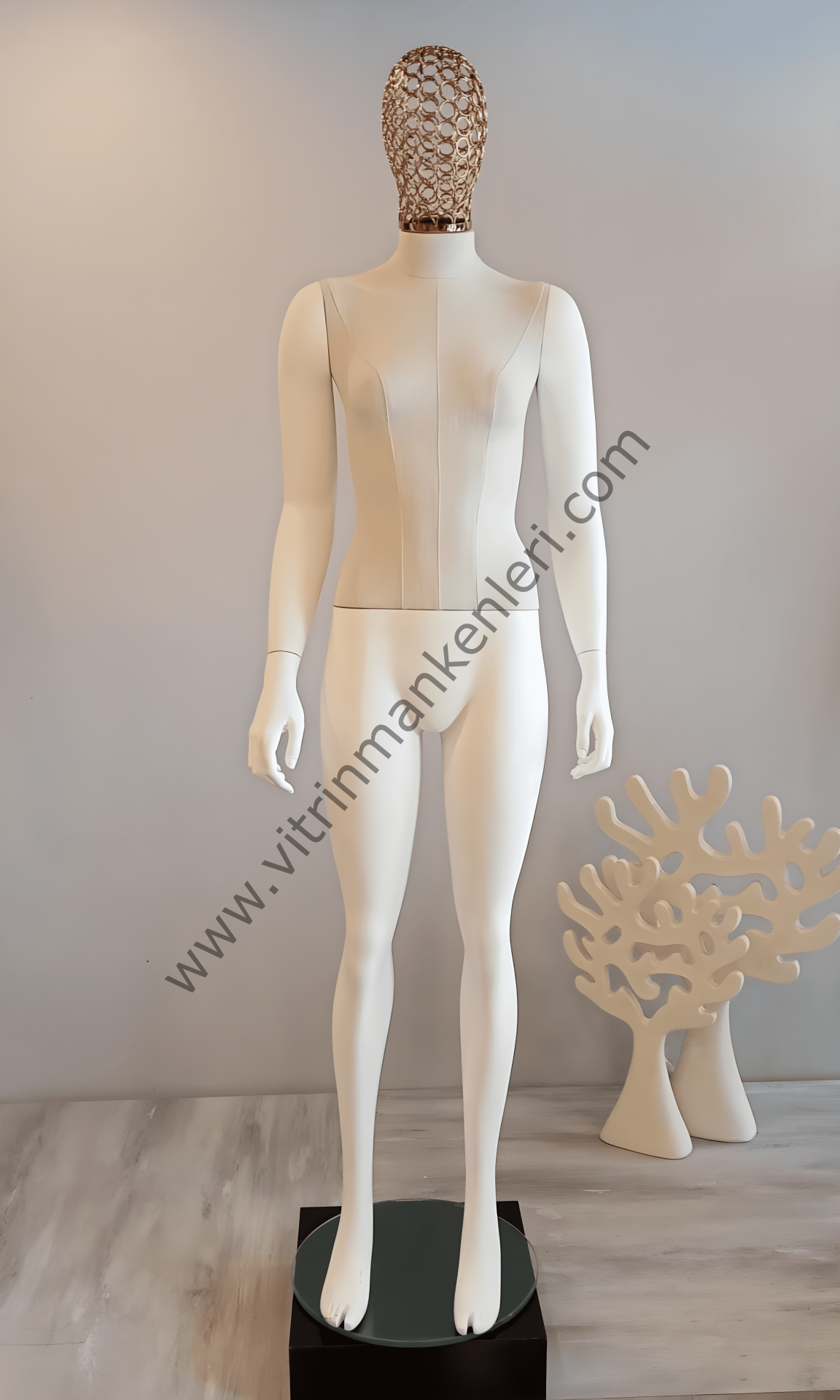 Bayan Polyester Vitrin Mankeni