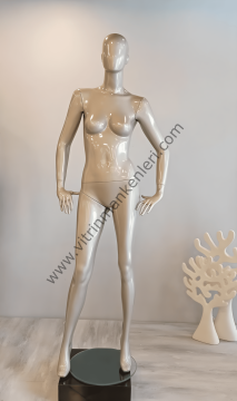 Bayan Polyester Vitrin Mankeni