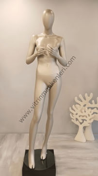 Bayan Polyester Vitrin Mankeni