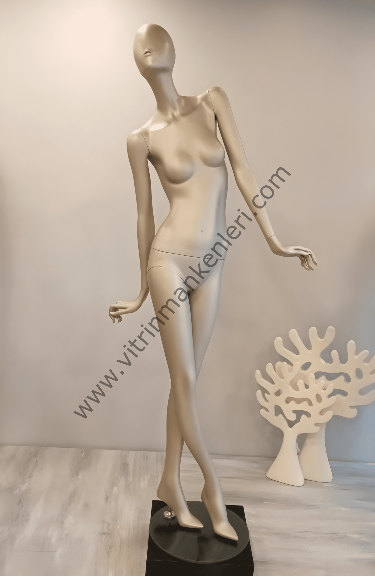 Bayan Polyester Vitrin Mankeni