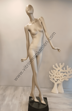 Bayan Polyester Vitrin Mankeni