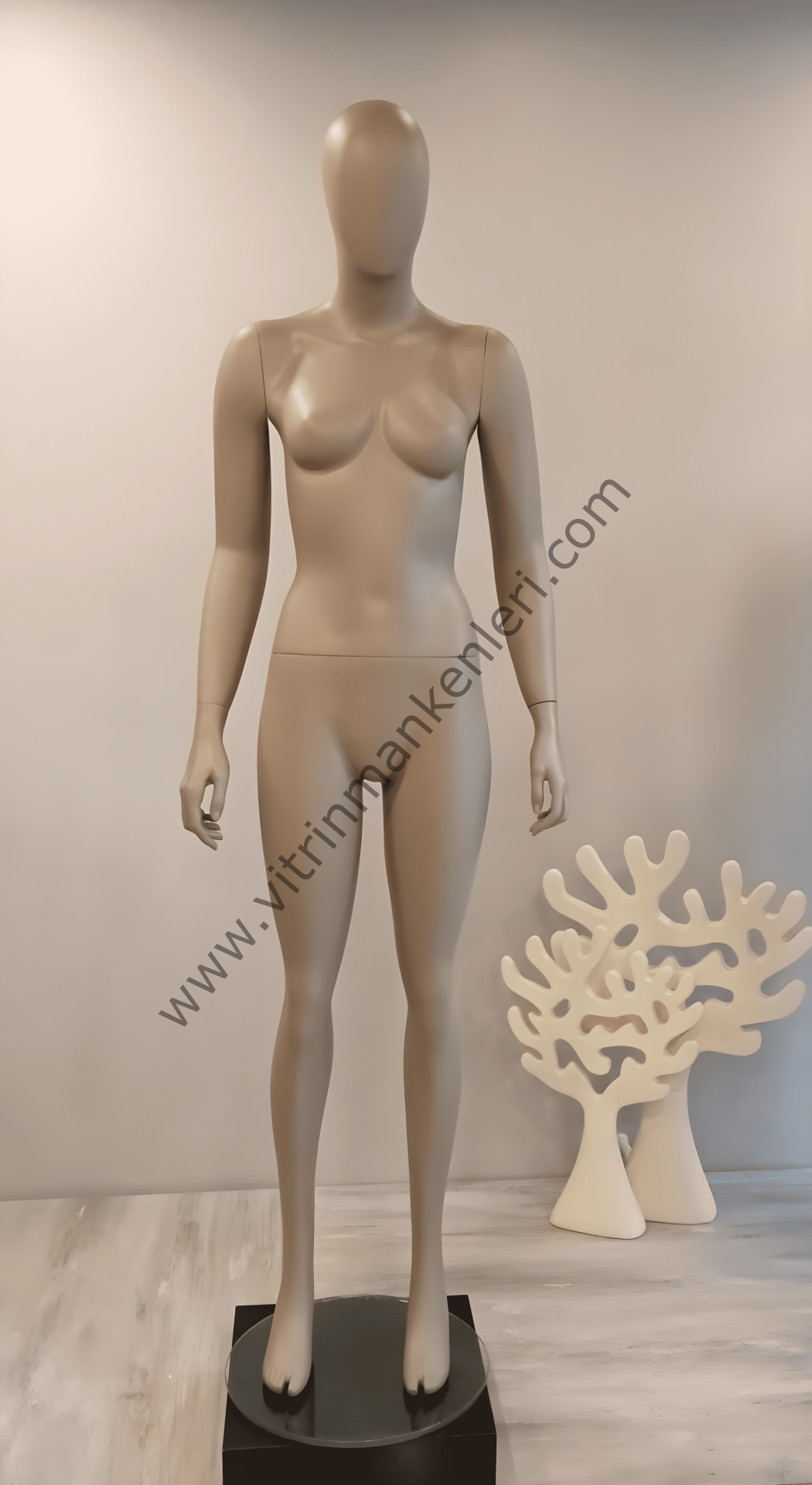 Bayan Polyester Vitrin Mankeni