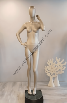 Bayan Polyester Vitrin Mankeni