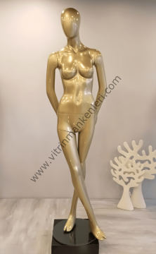 Bayan Polyester Vitrin Mankeni