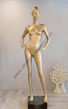 Bayan Polyester Vitrin Mankeni