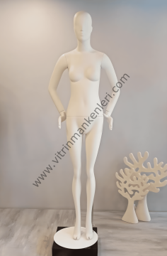 Bayan Polyester Vitrin Mankeni