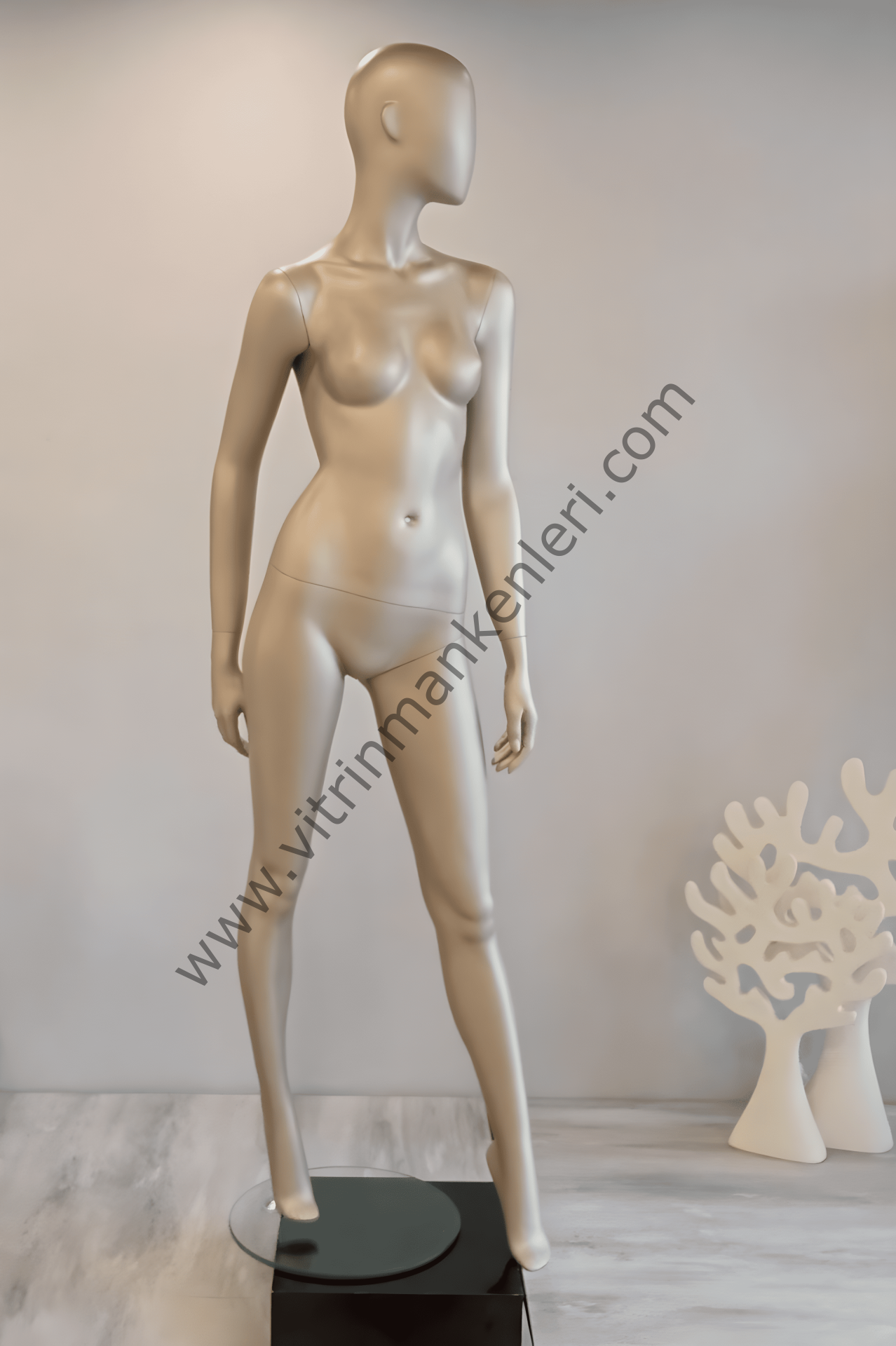 Bayan Polyester Vitrin Mankeni