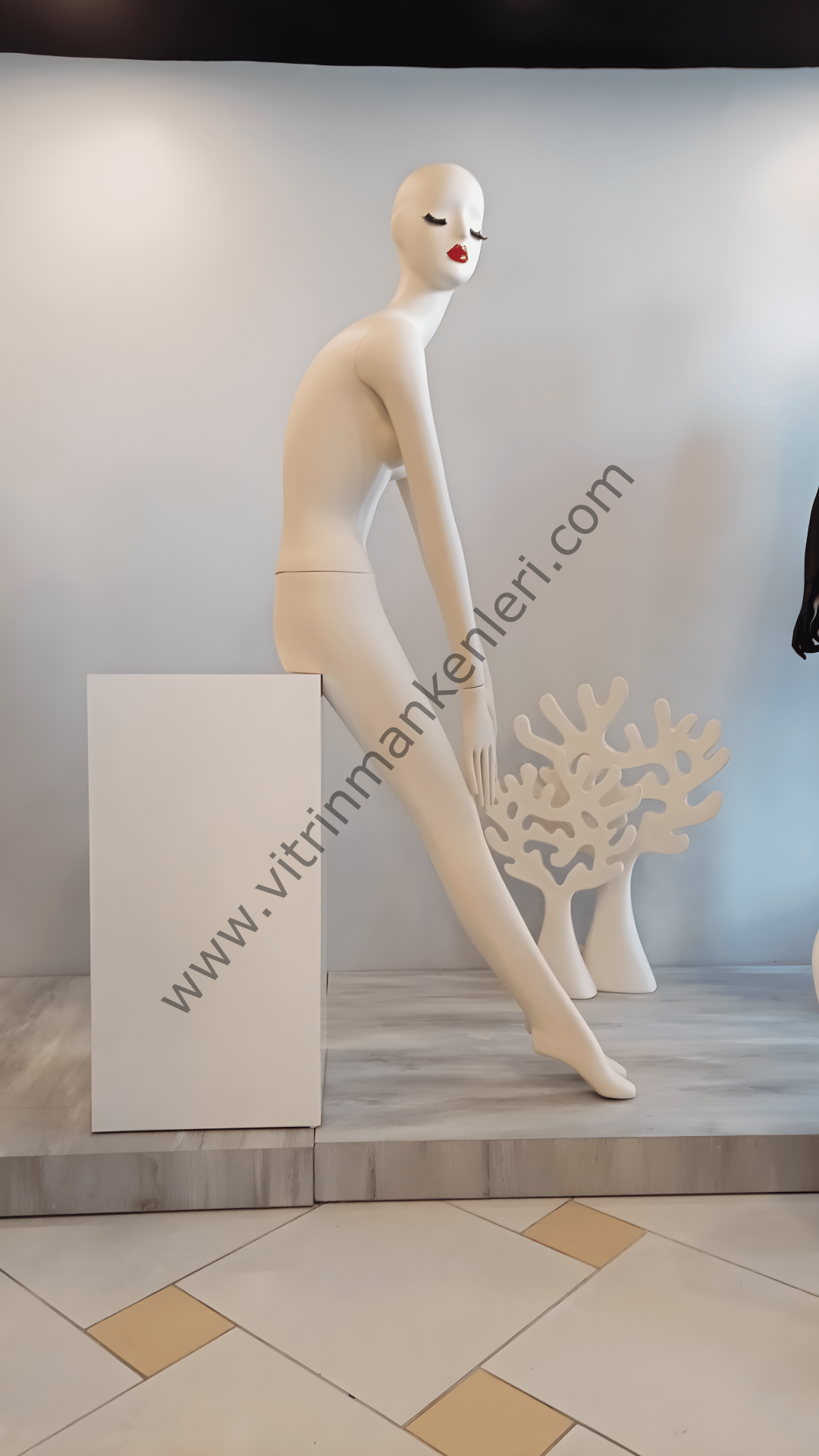 Bayan Polyester Vitrin Mankeni