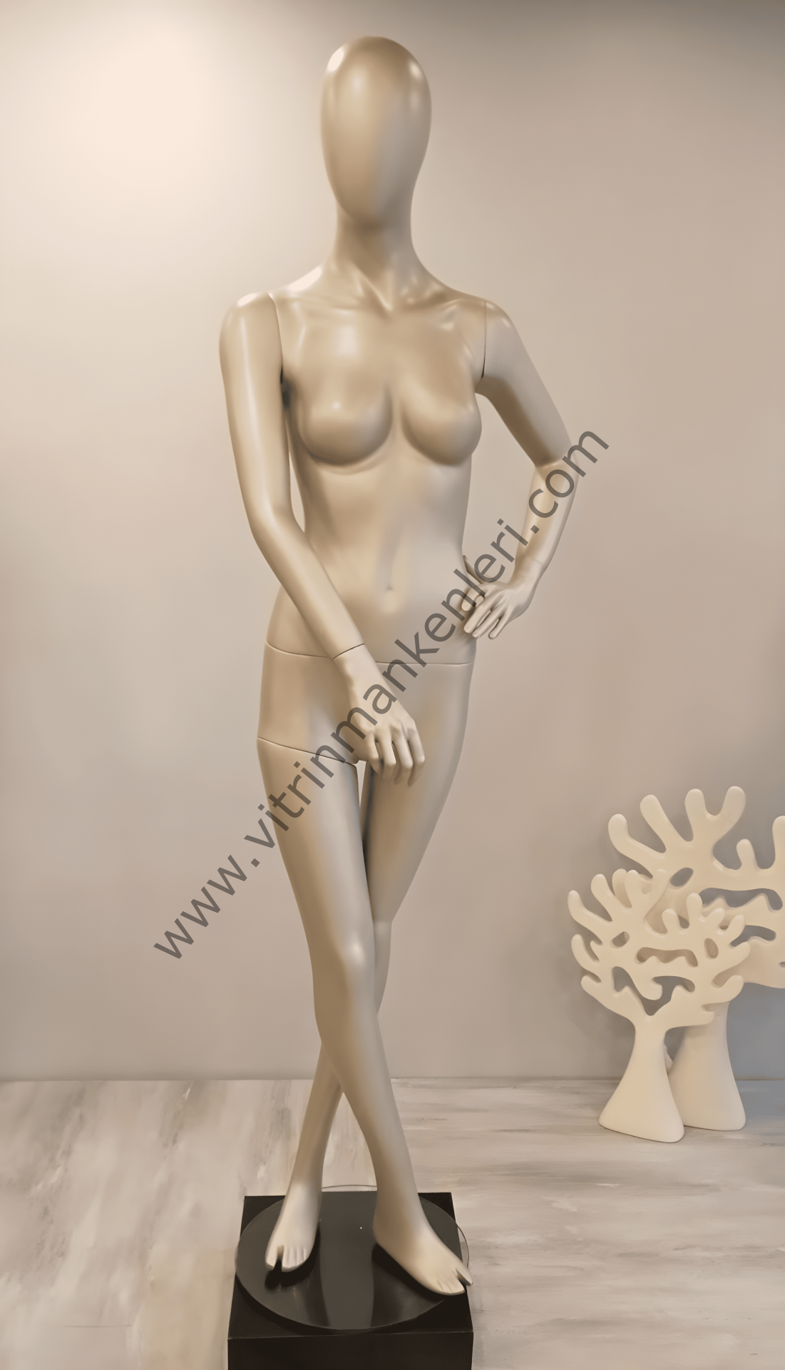 Bayan Polyester Vitrin Mankeni