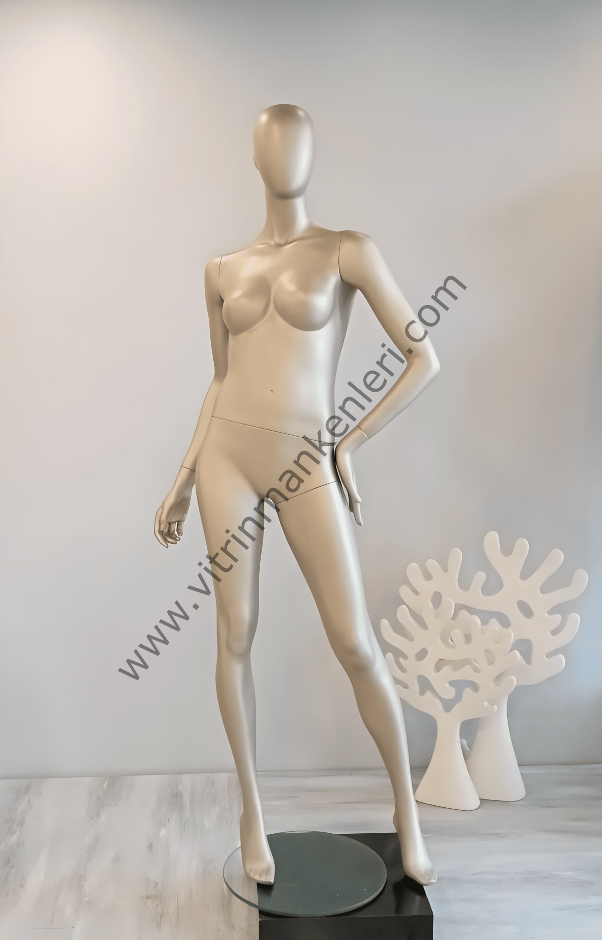 Bayan Polyester Vitrin Mankeni